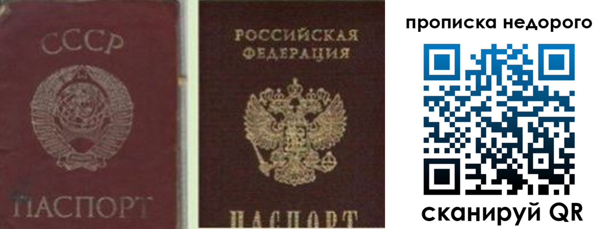 временная регистрация поиск в Майкопе